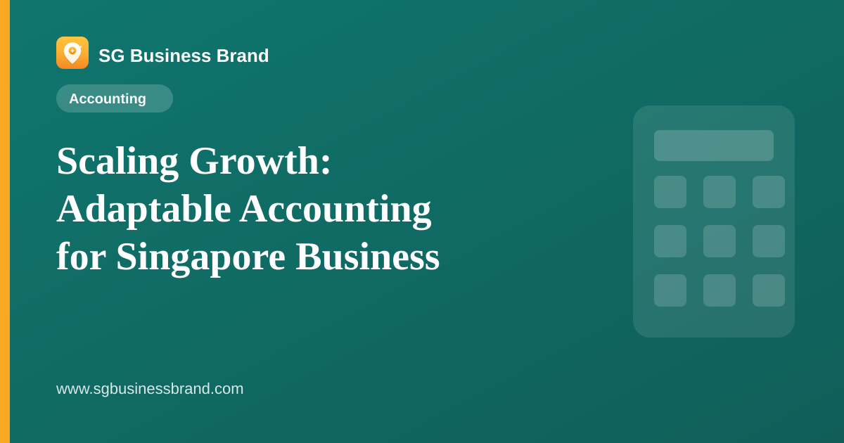 Scaling Growth: Adaptable Accounting for Singapore Business